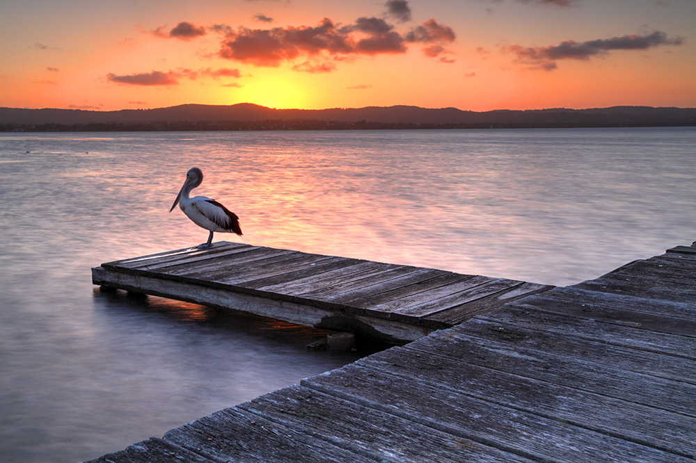 long jetty popup picnic